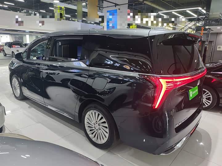 Фото 5 - Buick GL8 Century