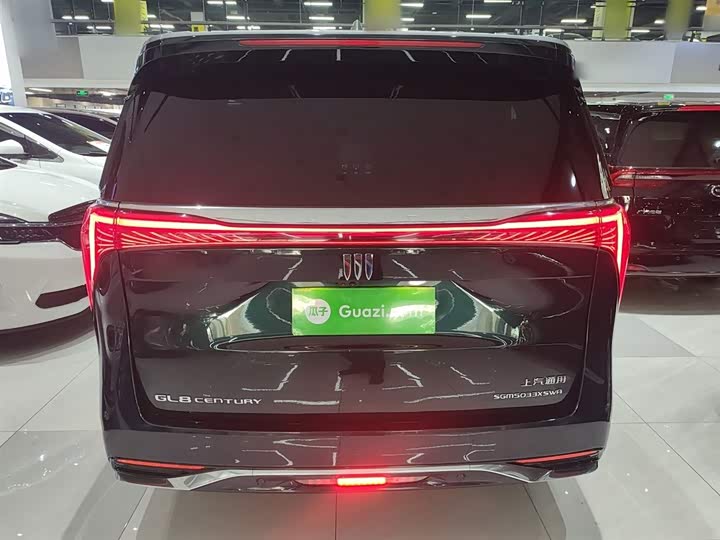 Фото 6 - Buick GL8 Century