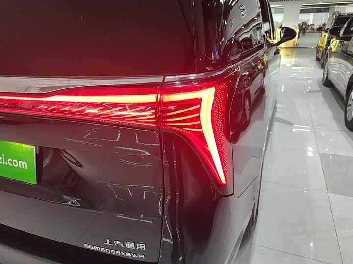 Фото 8 - Buick GL8 Century