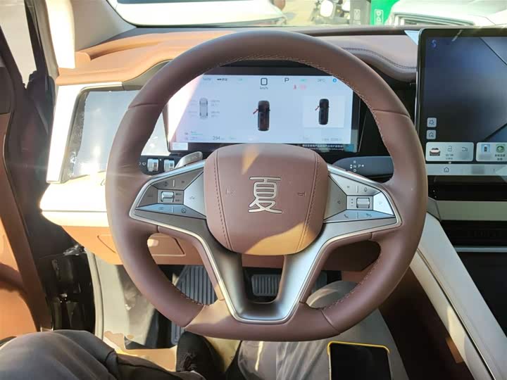 Фото 3 - BYD Xia