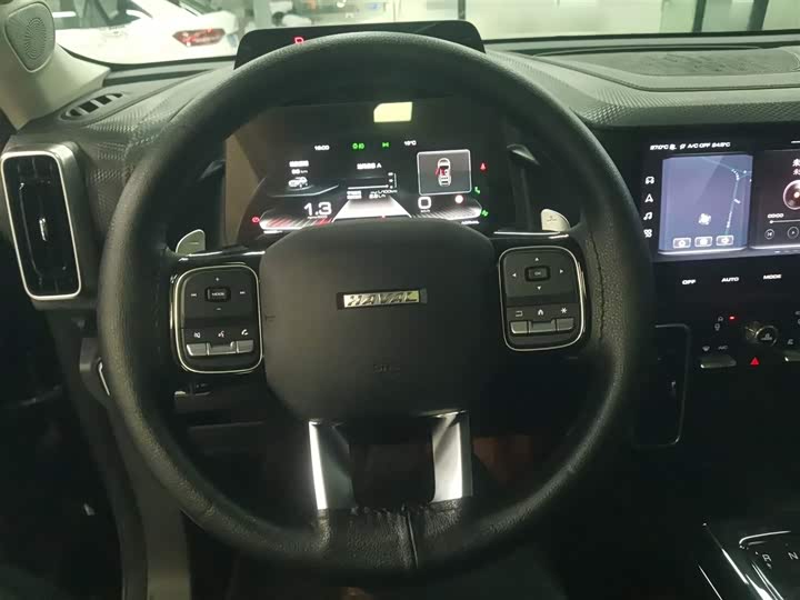 Фото 11 - Haval Dargo