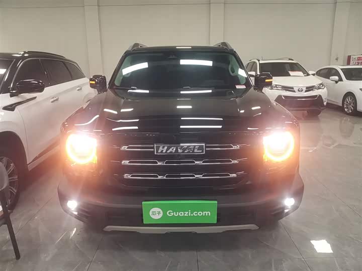 Фото 3 - Haval Dargo