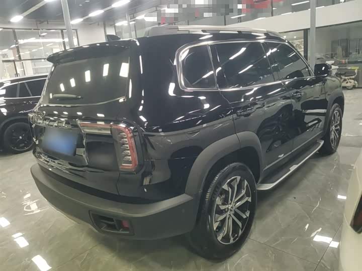 Фото 7 - Haval Dargo