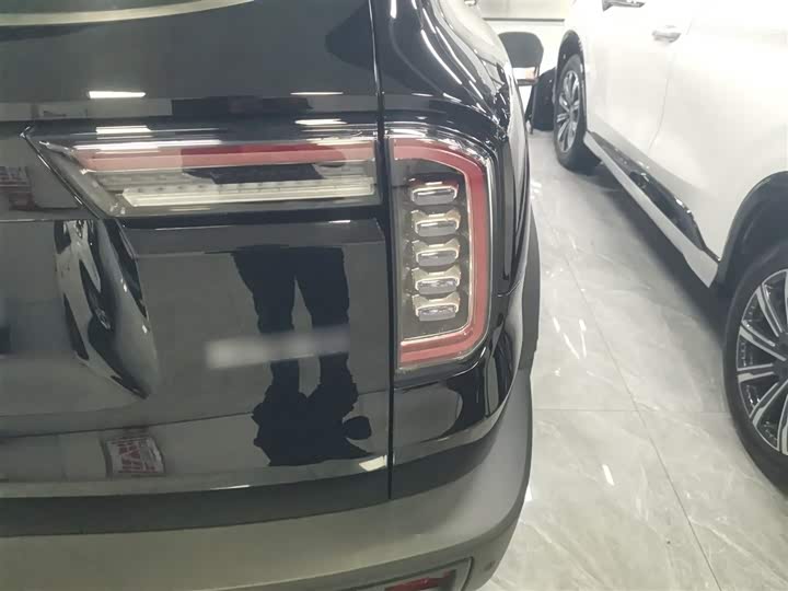 Фото 8 - Haval Dargo