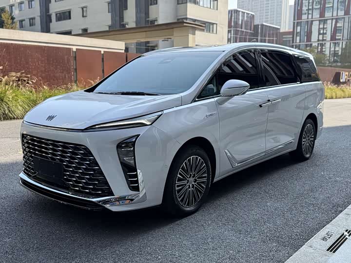 Фото 1 - Buick GL8 Hybrid