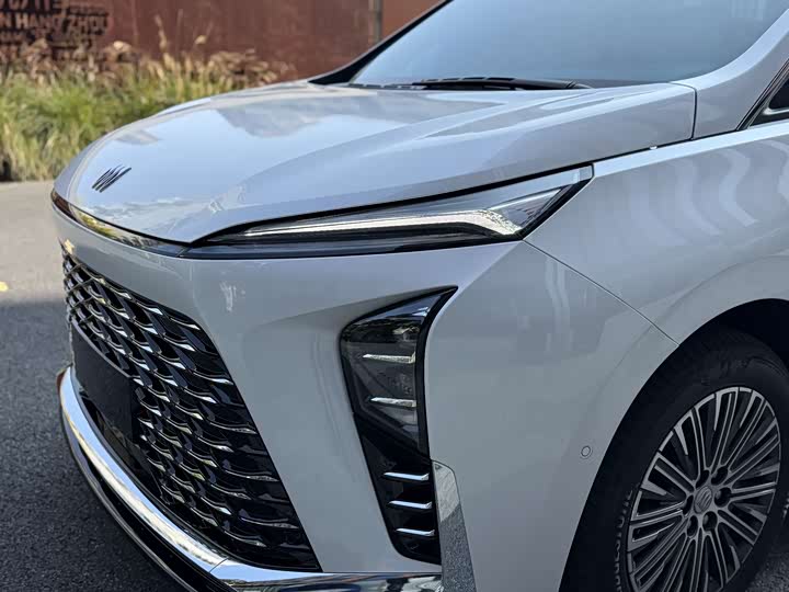 Фото 4 - Buick GL8 Hybrid