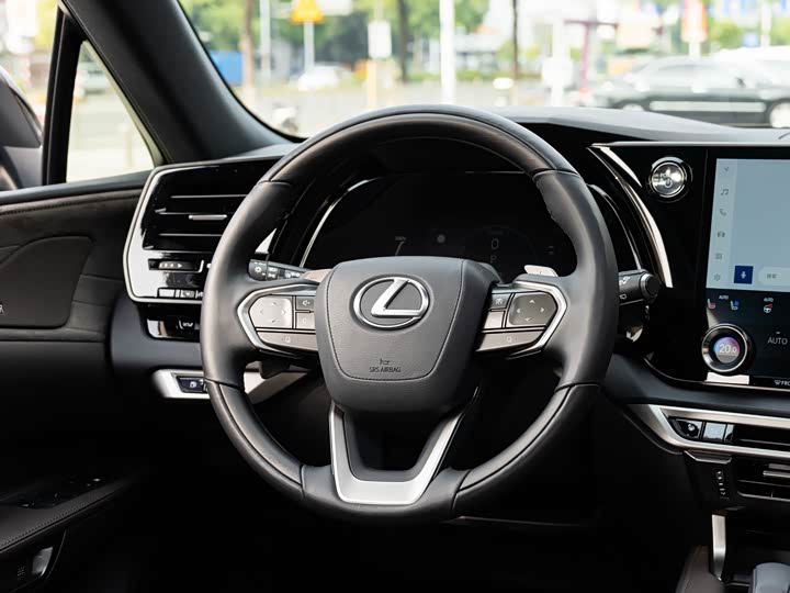 Фото 14 - Lexus RX Hybrid