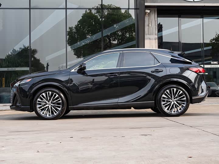 Фото 4 - Lexus RX Hybrid