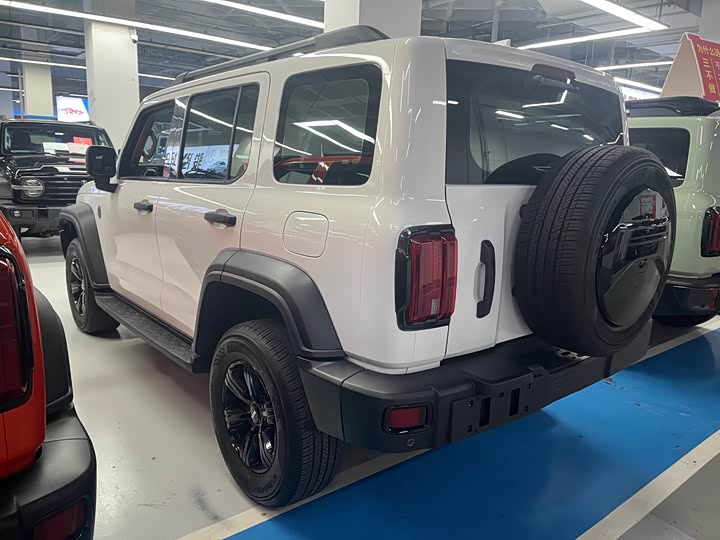 Фото 14 - Tank 300