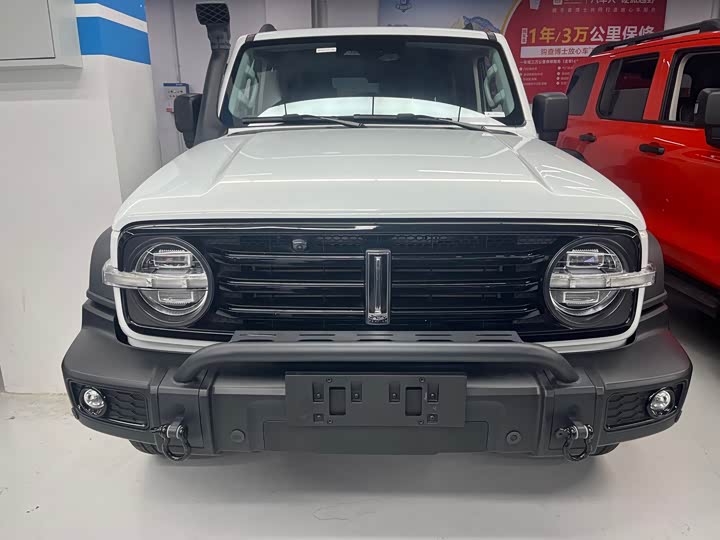 Фото 2 - Tank 300