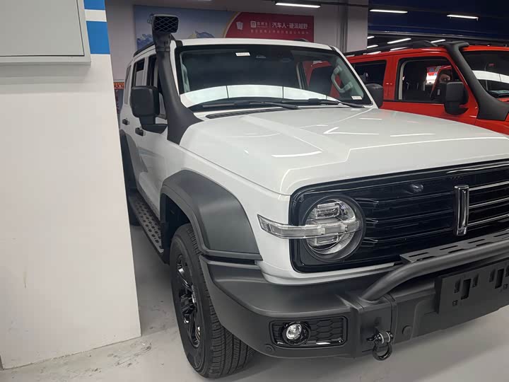 Фото 3 - Tank 300