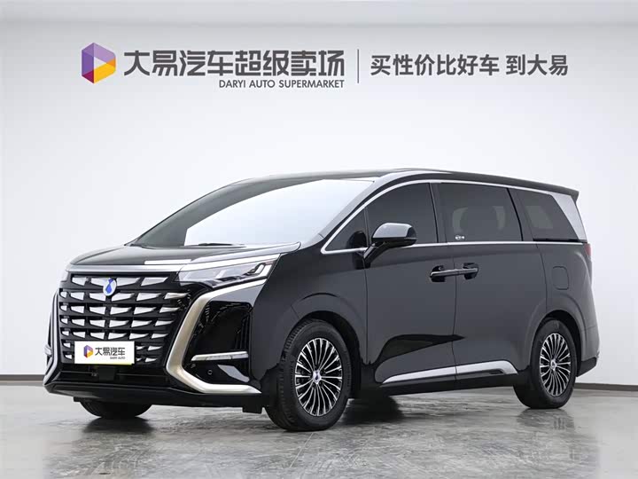 Фото 1 - Denza D9