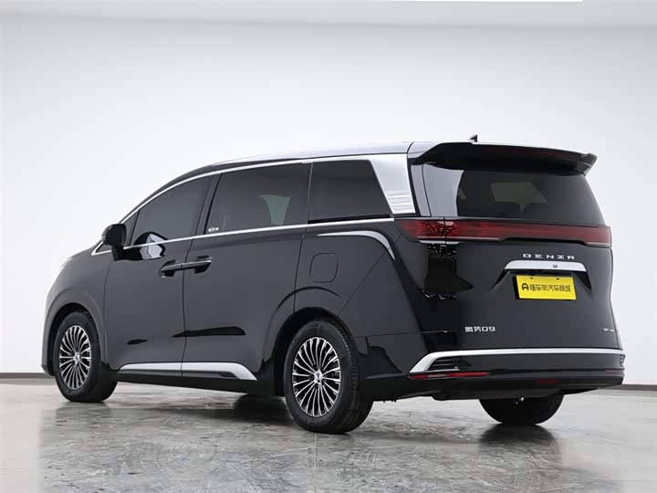 Фото 10 - Denza D9