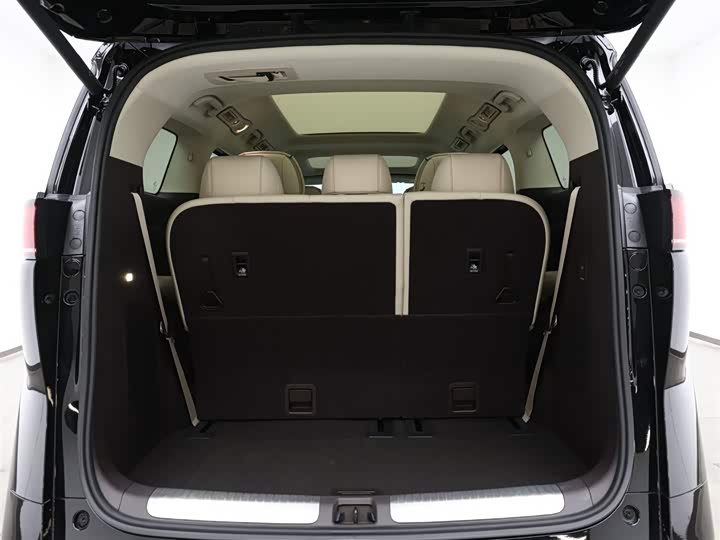 Фото 14 - Denza D9