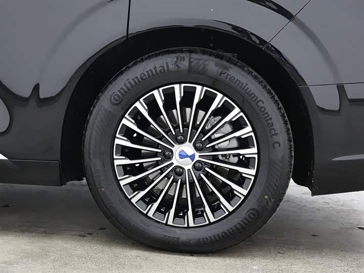 Фото 15 - Denza D9