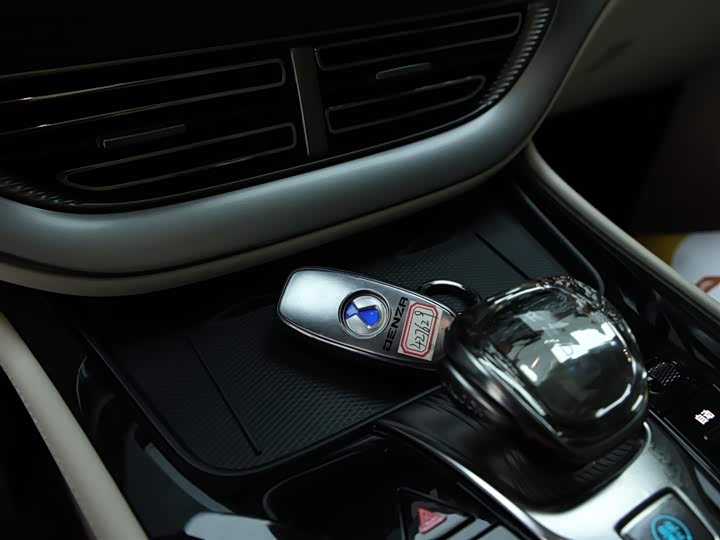 Фото 18 - Denza D9