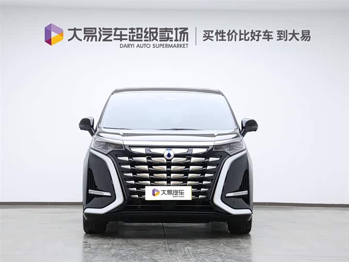 Фото 2 - Denza D9