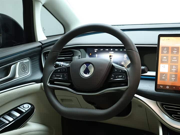 Фото 22 - Denza D9