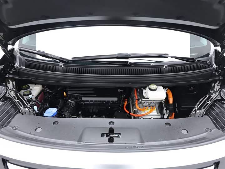 Фото 23 - Denza D9