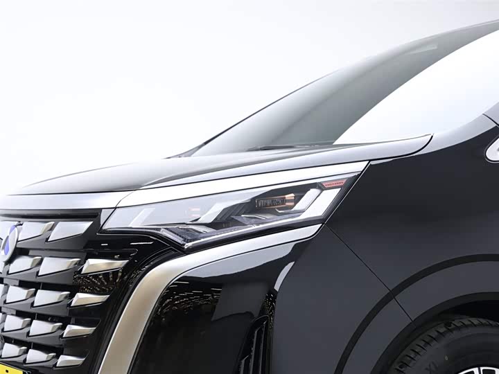 Фото 24 - Denza D9