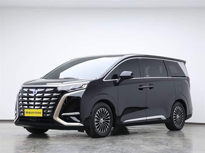 Фото 5 - Denza D9