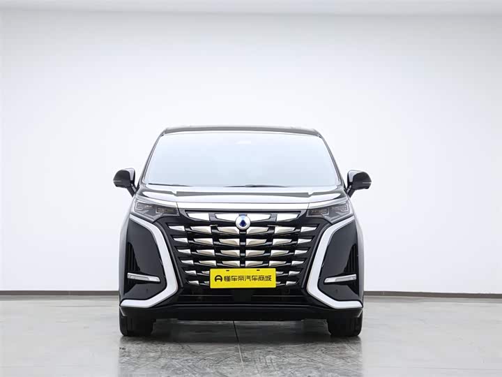 Фото 6 - Denza D9