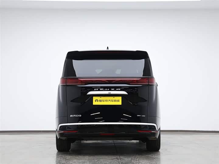 Фото 9 - Denza D9