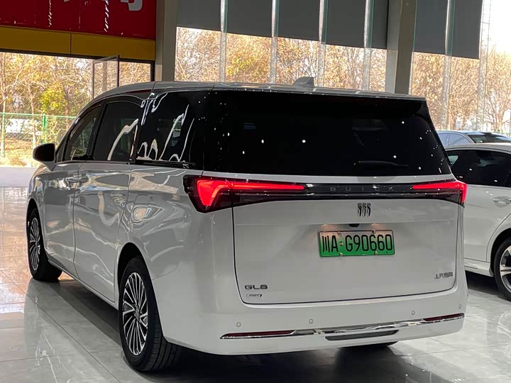 Фото 5 - Buick GL8 Hybrid