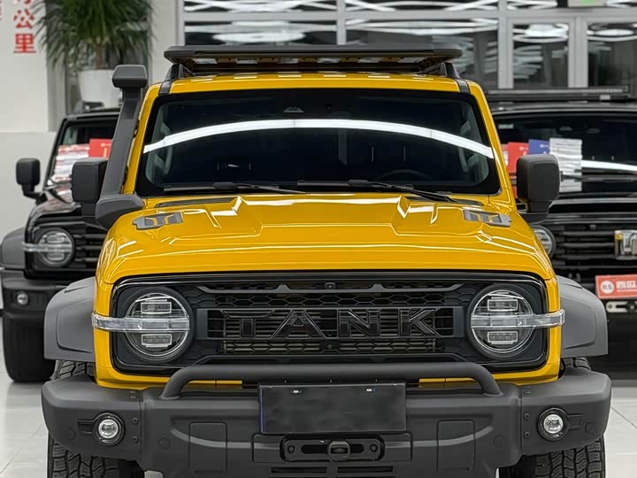 Фото 2 - Tank 300