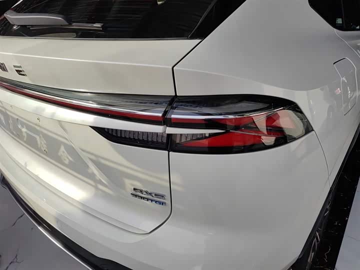 Фото 8 - Roewe RX5