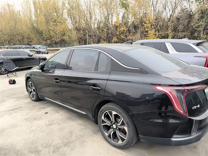 Фото 5 - Hongqi E-QM5