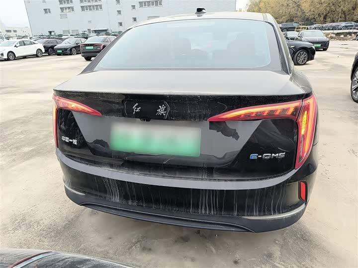 Фото 6 - Hongqi E-QM5