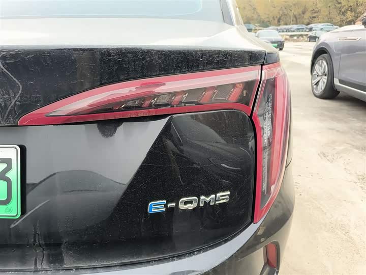 Фото 8 - Hongqi E-QM5