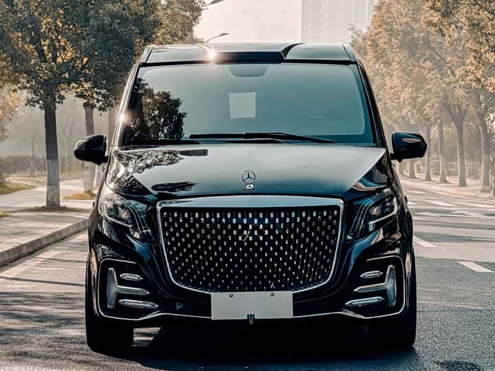 Фото 2 - Mercedes-Benz Vito