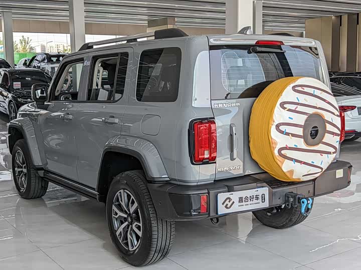 Фото 18 - Tank 300