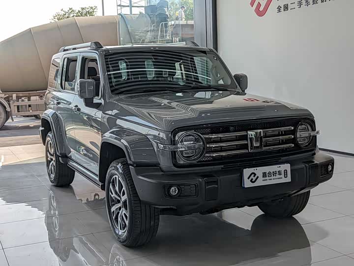 Фото 3 - Tank 300