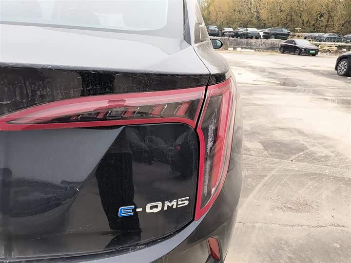 Фото 8 - Hongqi E-QM5