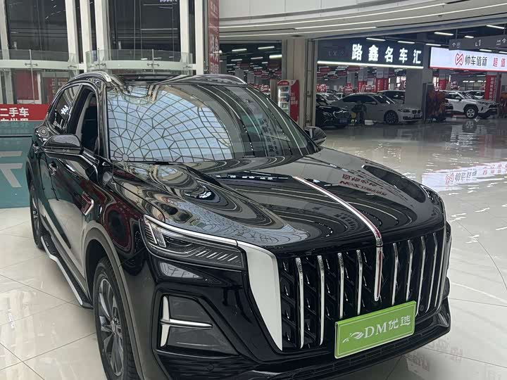 Фото 3 - Hongqi HS5