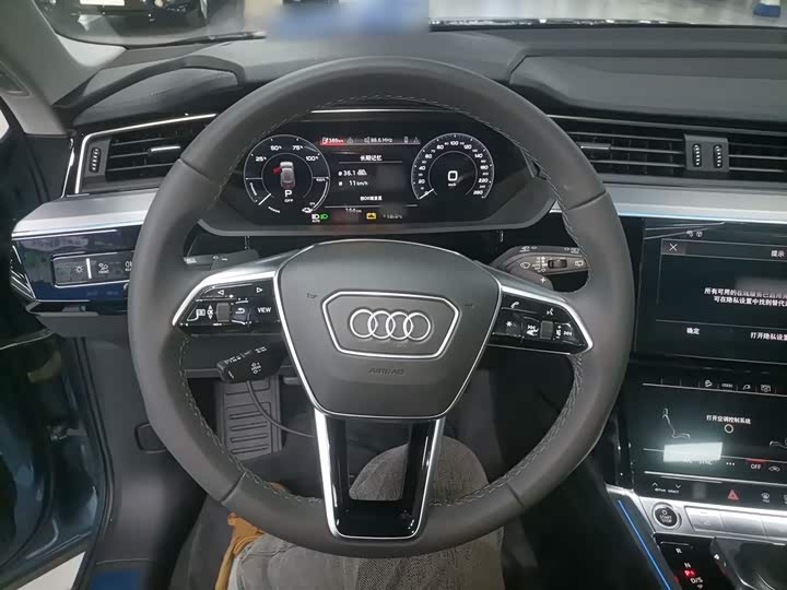 Audi e-tron 2021 2021款 50 quattro 豪华型