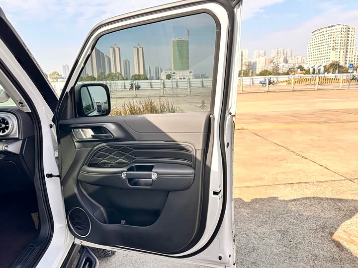 Фото 20 - Tank 300