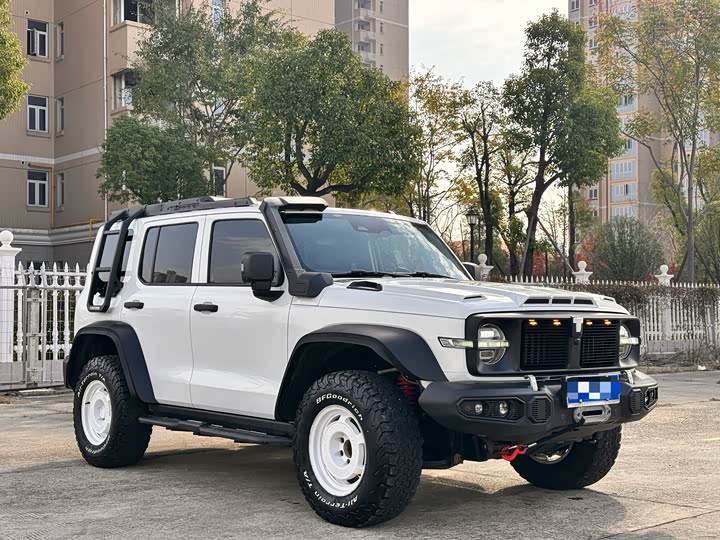 Фото 5 - Tank 300