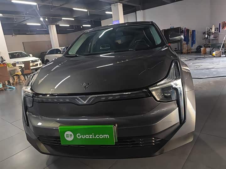 Фото 3 - Hozon U