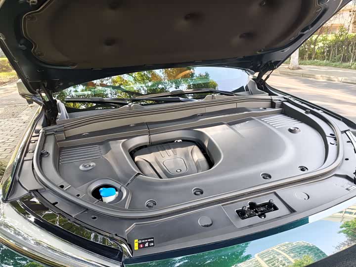 Фото 14 - Wey Lanshan