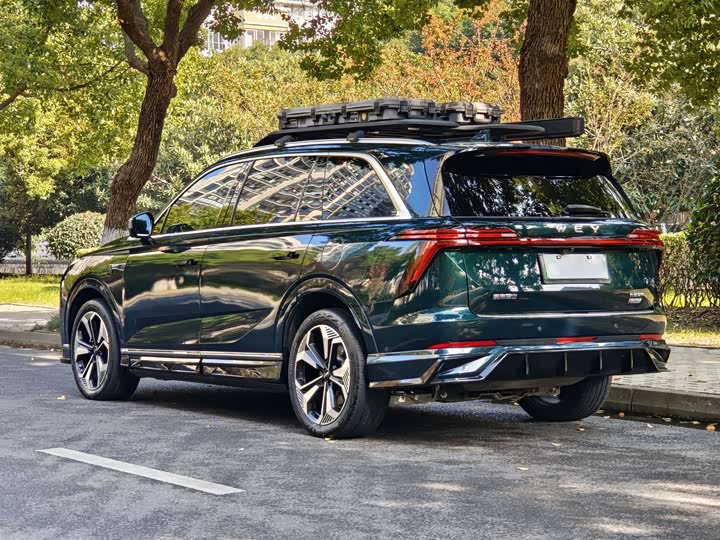 Фото 19 - Wey Lanshan