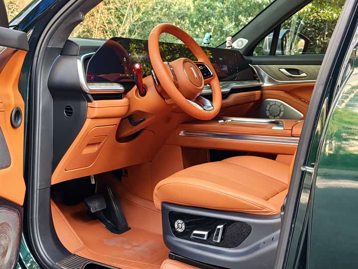 Фото 4 - Wey Lanshan