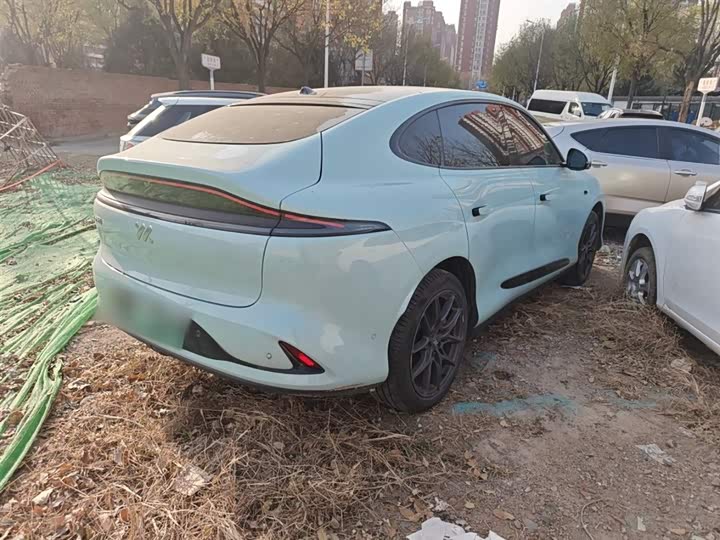 Фото 7 - IM motors LS6