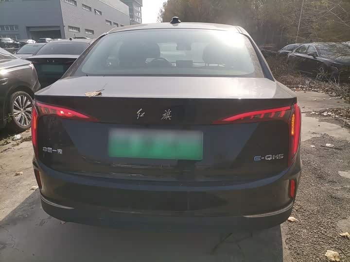 Фото 6 - Hongqi E-QM5