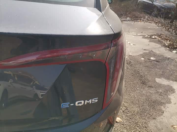 Фото 8 - Hongqi E-QM5