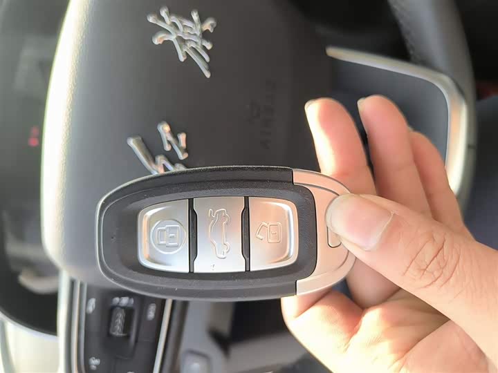 Фото 9 - Hongqi E-QM5