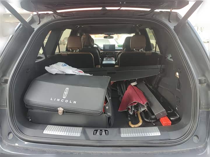 Фото 10 - Lincoln Aviator